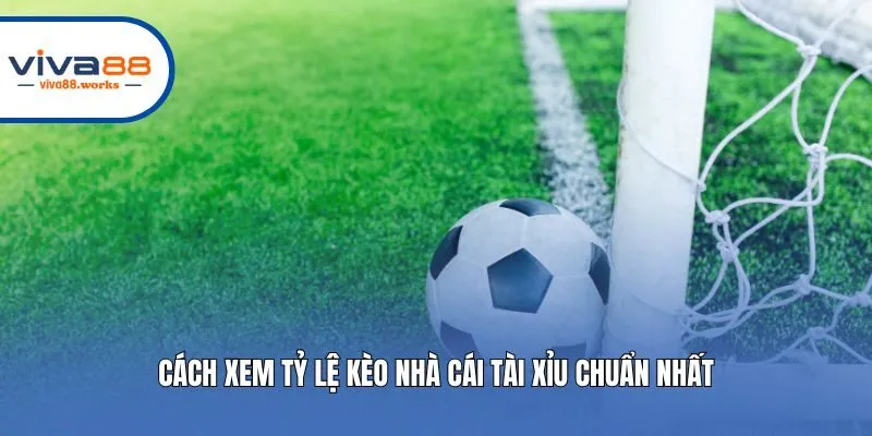 Cách xem tỷ lệ kèo nhà cái tài xỉu chuẩn nhất