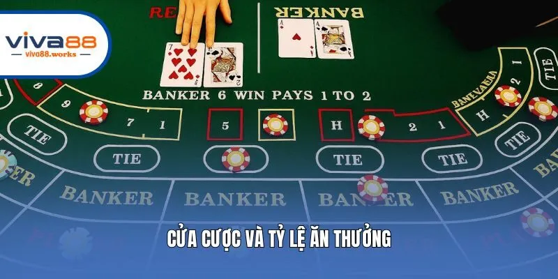 Cửa cược và tỷ lệ ăn thưởng