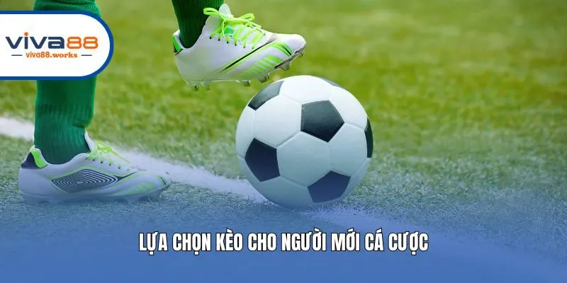 Lựa chọn kèo cho người mới cá cược