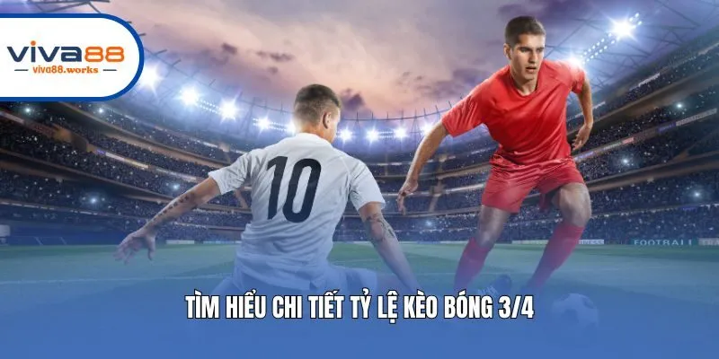 Tìm hiểu chi tiết tỷ lệ kèo bóng 3/4