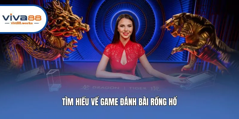 Tìm hiểu về game đánh bài rồng hổ
