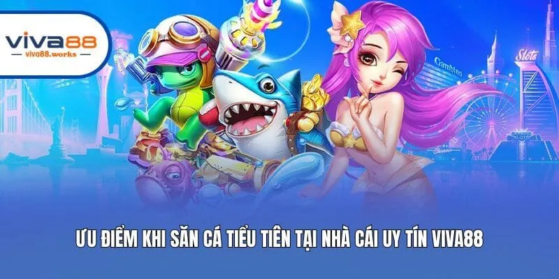 Ưu điểm khi săn cá Tiểu Tiên tại nhà cái uy tín Viva88