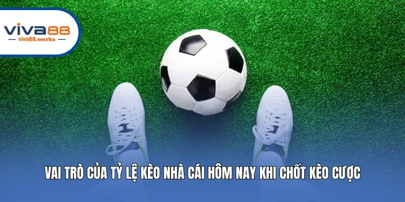 Vai Trò Của Tỷ Lệ Kèo Nhà Cái Hôm Nay Khi Chốt Kèo Cược