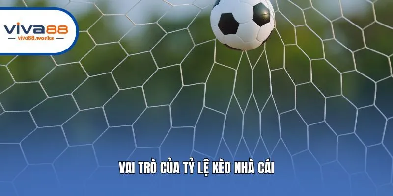 Vai trò của tỷ lệ kèo nhà cái