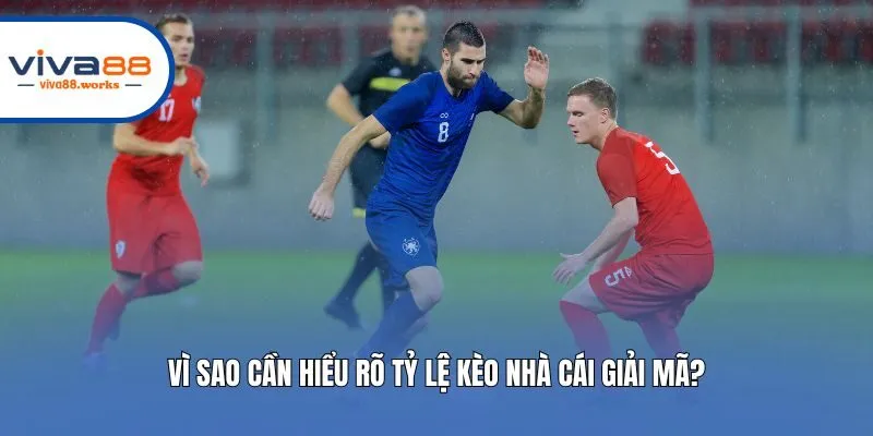 Vì sao cần hiểu rõ tỷ lệ kèo nhà cái giải mã?